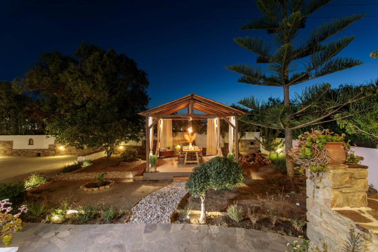Naxos Chora Villa "Vaporias" With Amazing Garden Naxos City Exteriér fotografie
