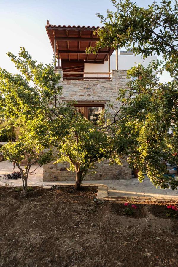 Naxos Chora Villa "Vaporias" With Amazing Garden Naxos City Exteriér fotografie
